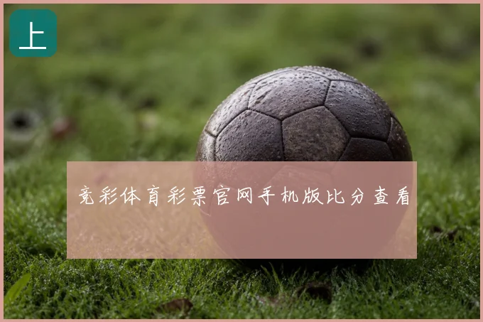 竞彩体育彩票官网手机版比分查看